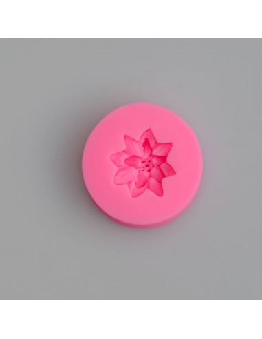 Silikonform 
