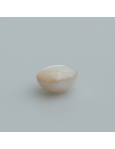 Maple Perle weiss ca.15mm