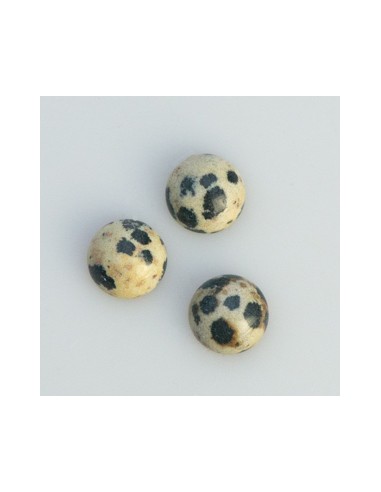 Dalmatiner Jaspis  10 mm