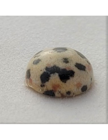 Dalmatiner Jaspis  6 mm