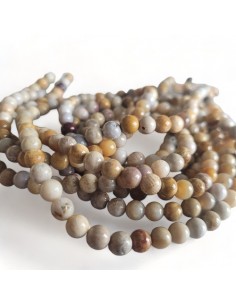 Fossile Korallenperle,  6 mm 2