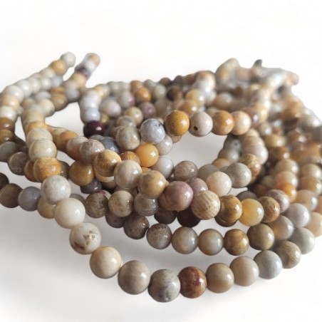 Fossile Korallenperle,  6 mm