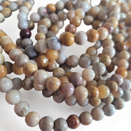 Fossile Korallenperle,  6 mm