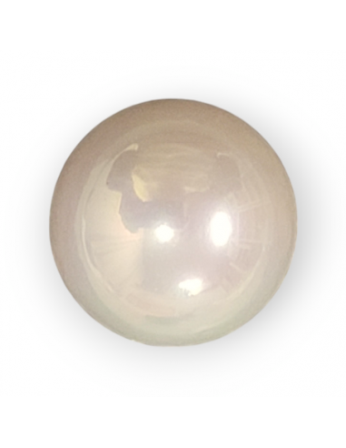 Perle 14 mm rund Muschelkern