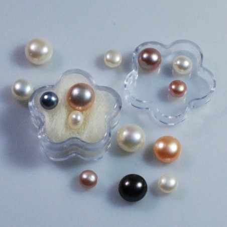 Süss-& Salzwasser - Perlen